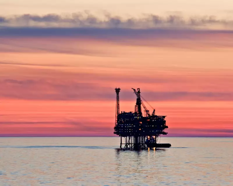 Oil Prices Plummet: Worst Weekly Drop in Months as OPEC+ Struggles to Stabilise Markets