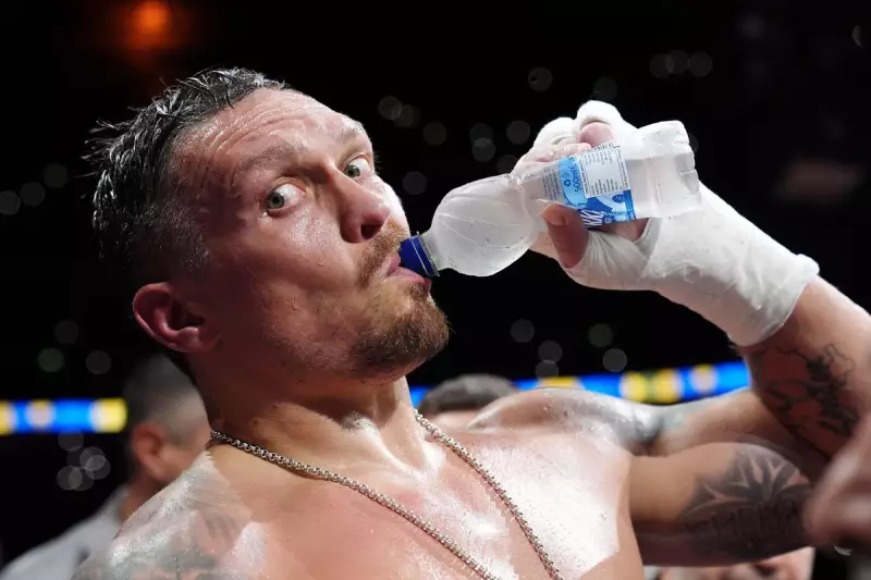 Oleksandr Usyk's Next Fight: Undisputed Champion Eyes Future Amid Retirement Rumours