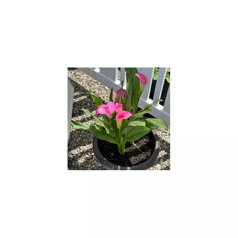 Only People With 2020 Vision Can Spot The Hidden Number In This Mind-Bending Optical Illusion