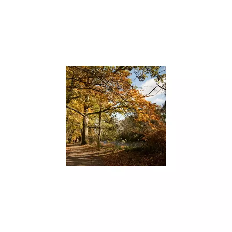 Only People With Super Vision Can Spot The Hidden Number In This Mind-Bending Optical Illusion