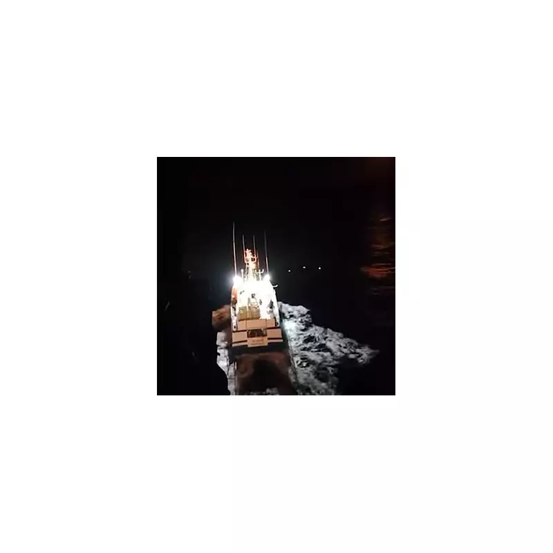 Orca Attack Horror: Family of Five's Miraculous Escape After Killer Whales Ram Sailboat