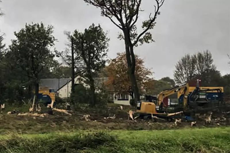 Osprey Nest Tragedy: Protected Birds' Home Destroyed in East Kilbride Tree Felling