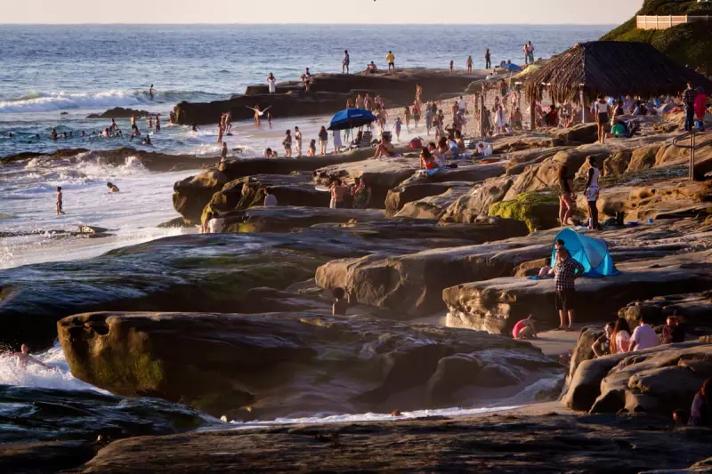 Pacific 'Blob' Returns: Scientists Sound Alarm Over Record-Breaking Marine Heatwave