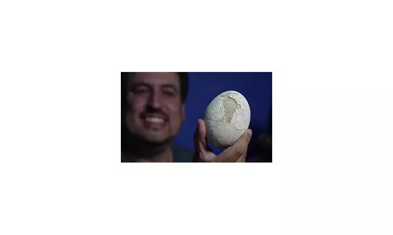 Perfectly Preserved Dinosaur Egg Discovered in Argentina Reveals 70 Million-Year-Old Embryo