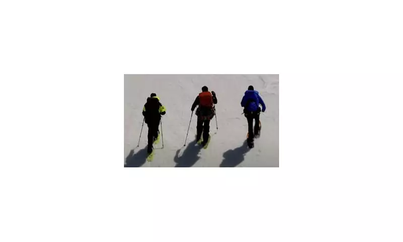 Peril on the Peak: Chinese Hikers' Harrowing Ordeal on Victoria's Mount Bogong