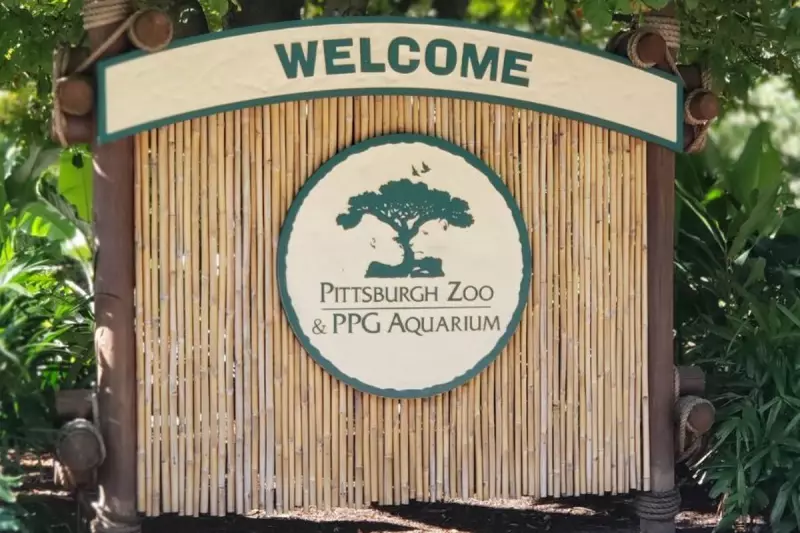 Pittsburgh Zoo Faces Criminal Charges After Influencer's Dangerous Enclosure Stunt