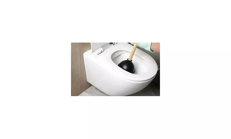 Plumbing Nightmare: The 7 Surprising Items You Should NEVER Flush Down Your Toilet