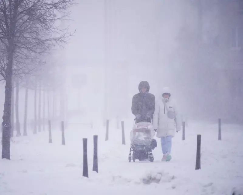 Poland's Loneliness Crisis: The Hidden Driver Behind Europe's Worst Birth Rate Collapse