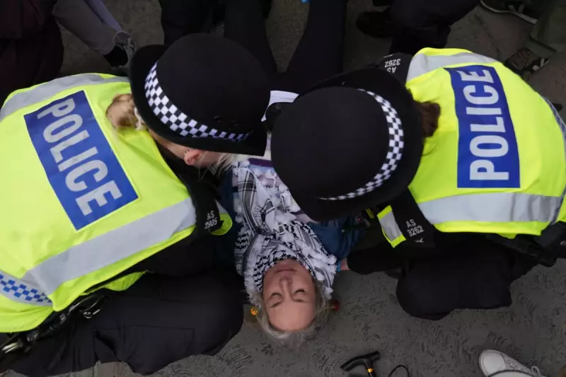 Police Apologise After Handcuffing Wrong Woman in Trafalgar Square Identity Mix-Up