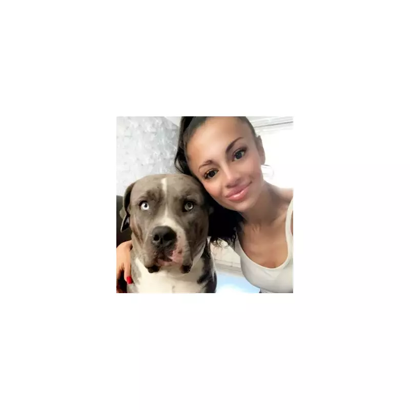 Police Marksman Halts Rampaging Bull in Dramatic London Street Chase