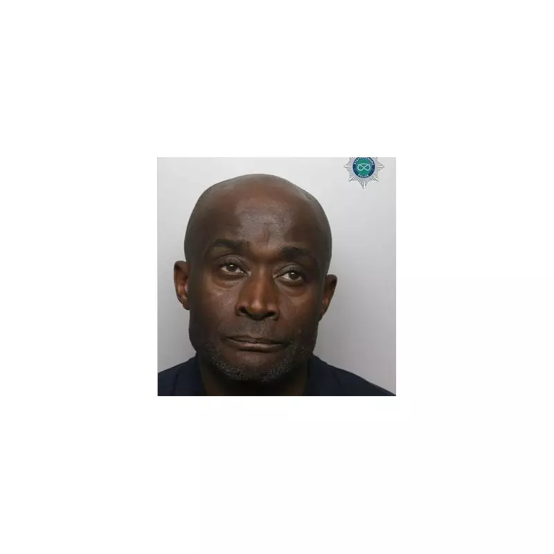 Portsmouth Cruise Terror: Giant Jellyfish Invasion Suffocates City's Waters