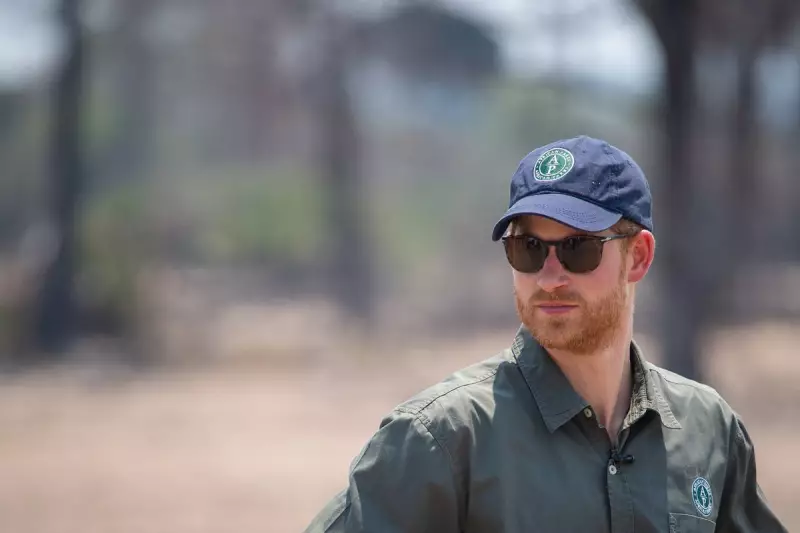 Prince Harry's Secret Chad Mission: Inside the Duke's Dangerous Wildlife Protection Operation