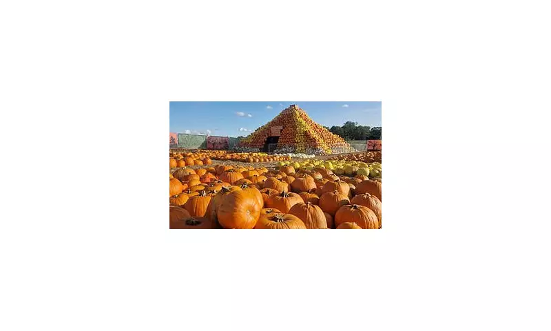 Pumpcano Eruption! Tulleys Farm's Spectacular Halloween Attraction Offers Half-Price Family Fun