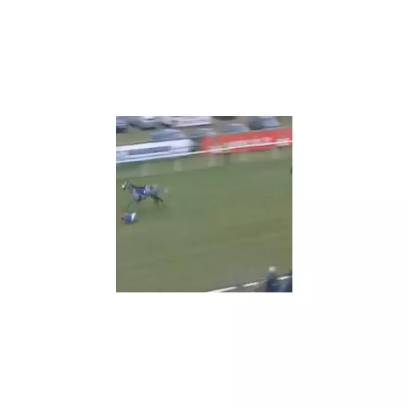 Punter's £2.50 Bet Turns Into £114,000 Windfall at Taunton Racecourse