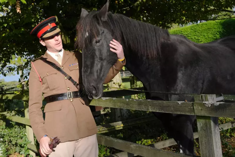 Quaker the Majestic Cavalry Horse Enjoys Well-Earned Retirement in London