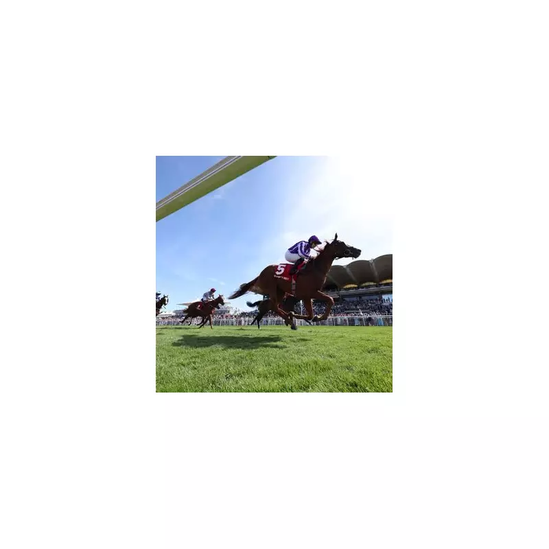 Racing's Red-Hot Tip: Both Teams To Score Lands Nap of the Day at Hamilton Park