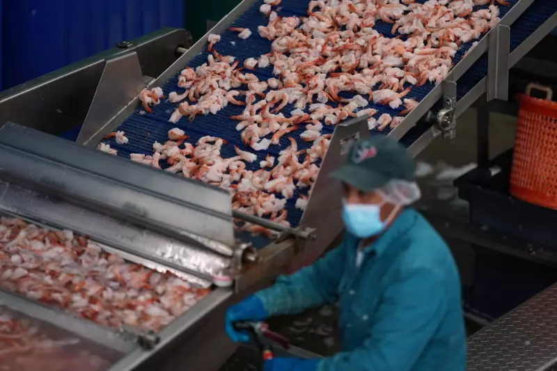 Radioactive Shrimp Recall: Contaminated Seafood Pulled from US Supermarkets