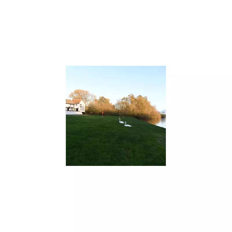 Raise a Glass to the Supernatural: The Haunted UK Pub With a Grave Beneath Its Floorboards