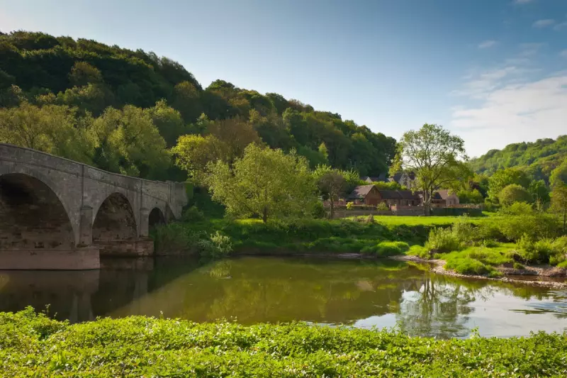 River Wye Faces Legal Battle Over Environmental Pollution Crisis