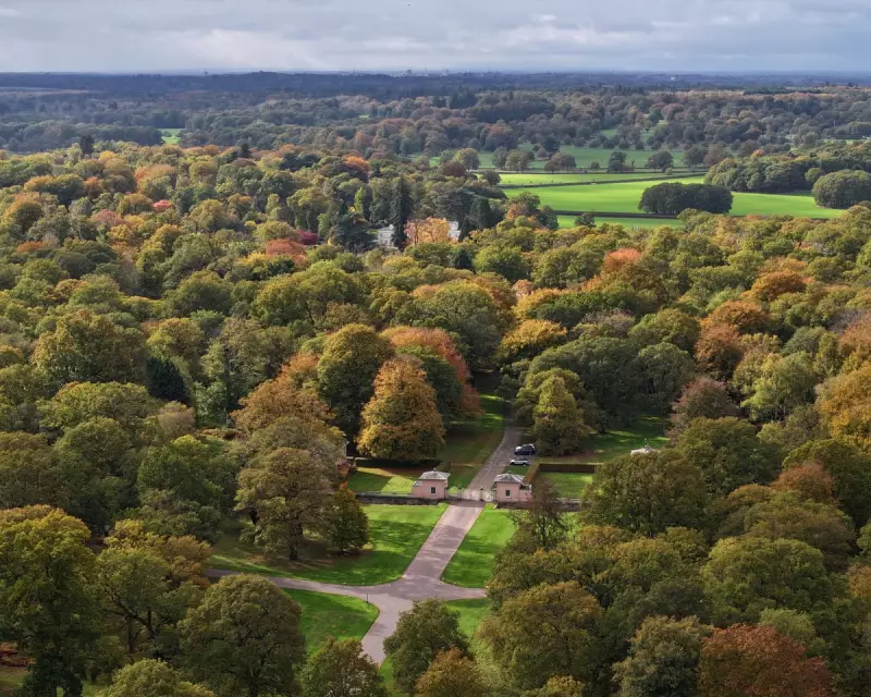Royal Retreat: Prince Andrew Finds Solace in Garden Sanctuary Amid Ongoing Scandal