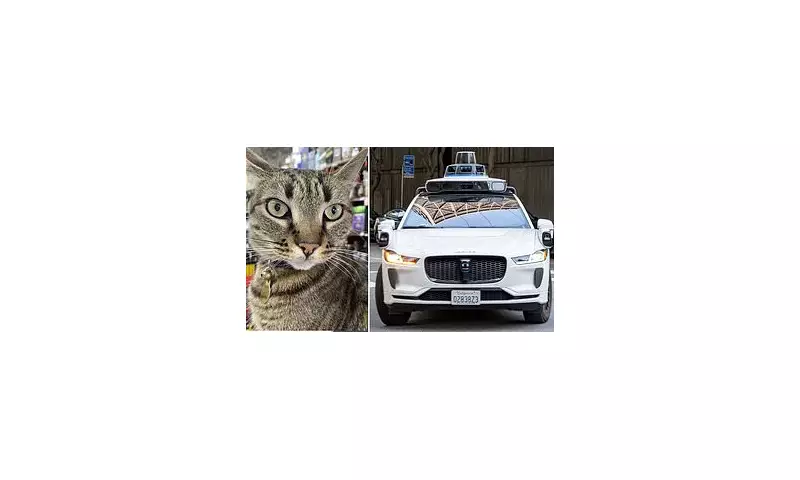 San Francisco's Driverless Dilemma: Waymo Car Involved in Fatal Collision With Man Already Struck By Another Vehicle