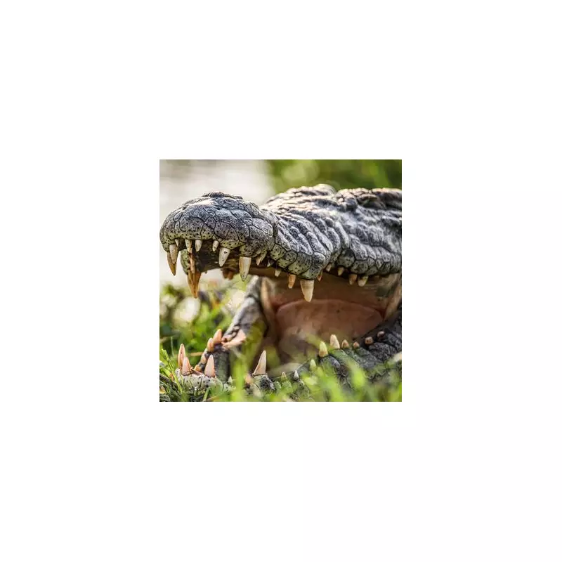 Schoolboy Fights for Life After Savage Crocodile Attack During Fishing Trip in Remote Wilderness