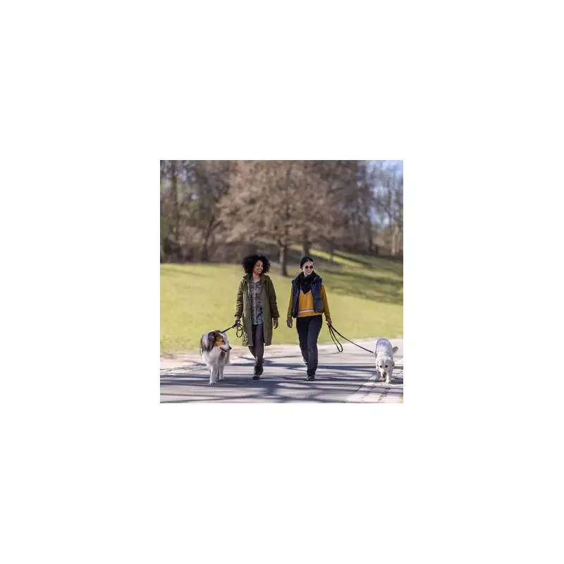 Scientists Reveal The Perfect Daily Walk Distance To Slash Disease Risk