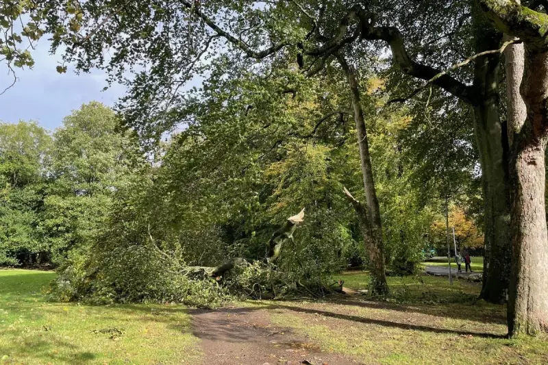 Scotland's Rail Network Grinds to Halt Amid Severe Weather Warnings