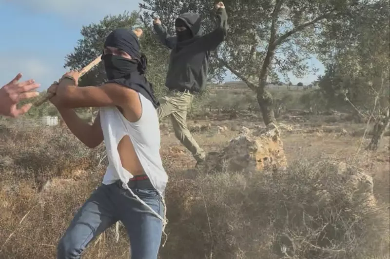 Settler Violence Escalates: Palestinian Woman Attacked in West Bank Home Invasion