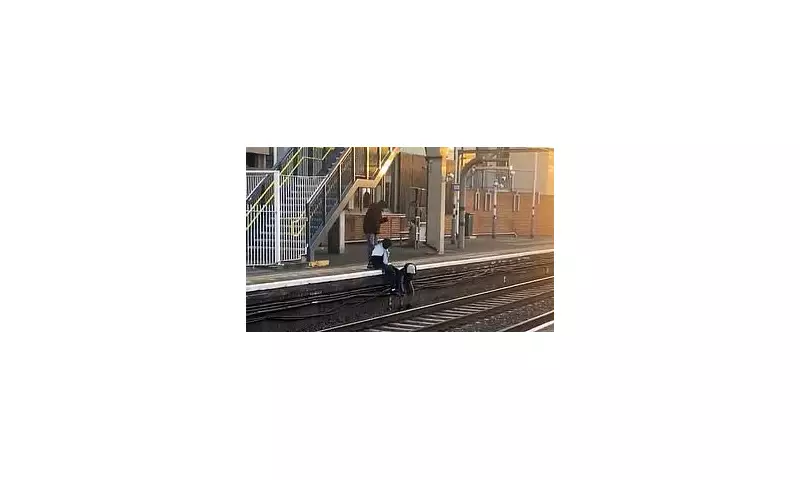 Shocking Betrayal: Good Samaritans' Phone Stolen After Train Rescue Drama