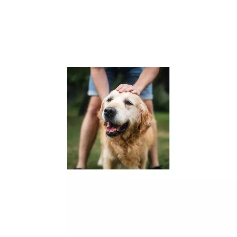 Silent Killer in Your Kitchen: Popular Herb Sends Beloved Family Pet to Emergency Vet