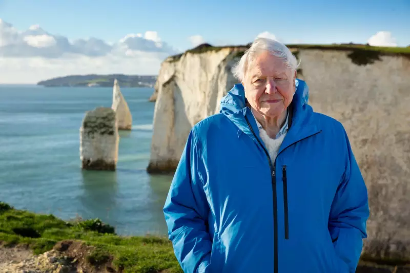 Sir David Attenborough Honoured With Prestigious Daytime Emmy Award