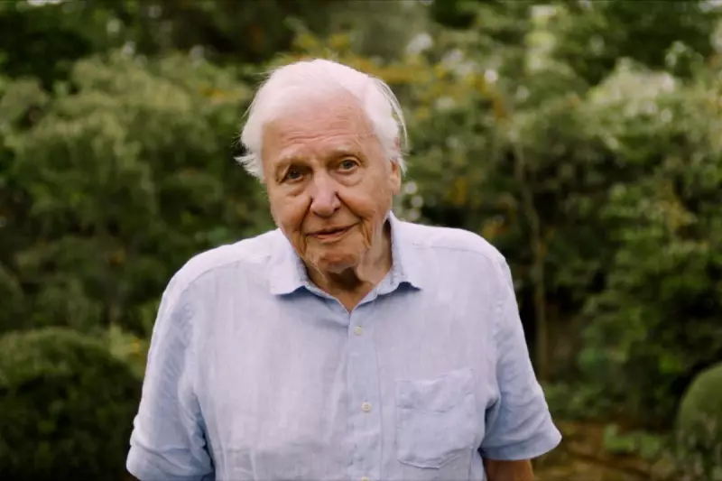 Sir David Attenborough's Bold Move: Naturalist Bids to Protect Historic Northumberland Estate