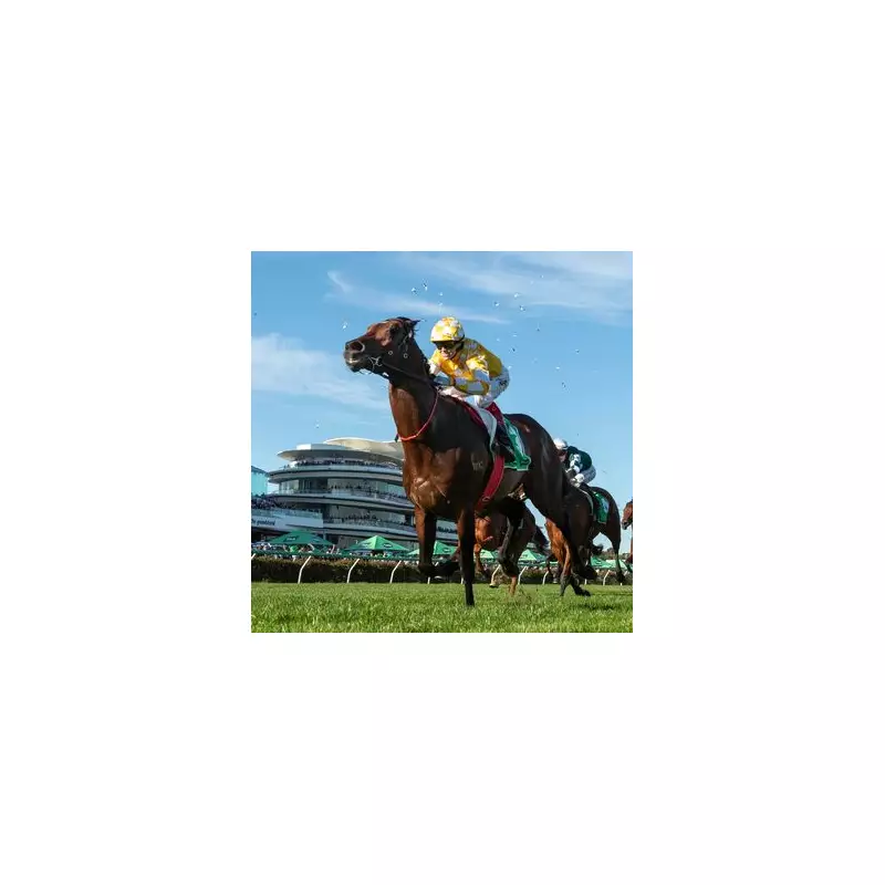 Sir Delius's Melbourne Cup Dream Dashed: Waterhouse's Heartbreaking Scratch After Training Setback