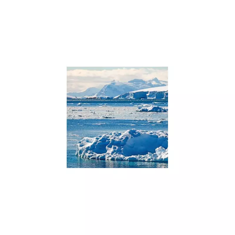 South Pole Skeleton Mystery: 60-Year-Old Antarctic Cold Case Finally Solved