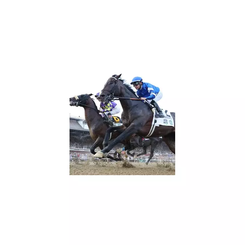 Sovereignty Stuns Breeders' Cup With Sensational Victory, Kentucky Derby Dream Alive