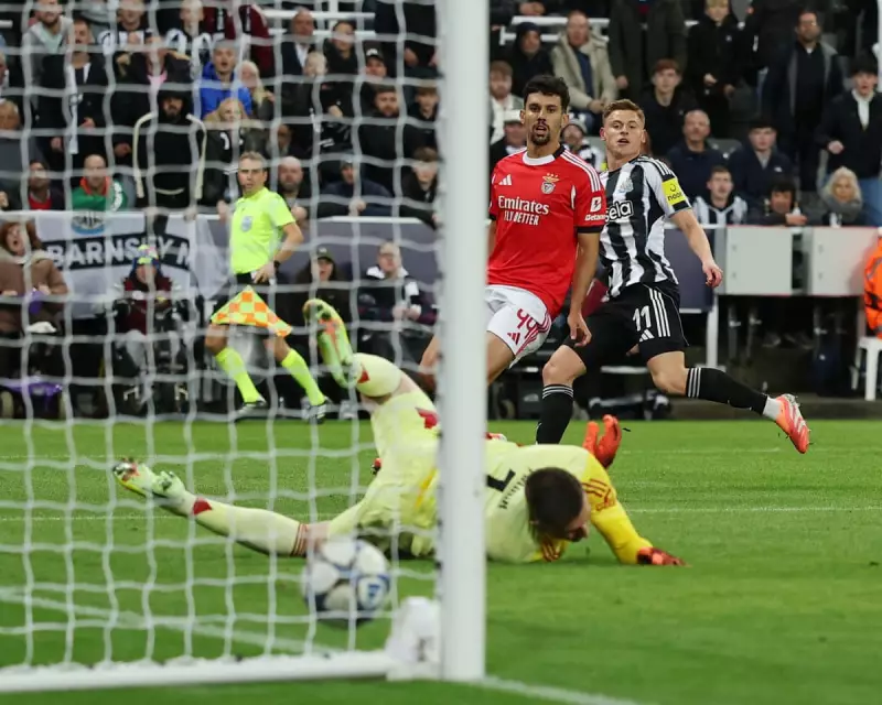 St. James' Park Erupts as Newcastle Edge Past Benfica in Champions League Thriller