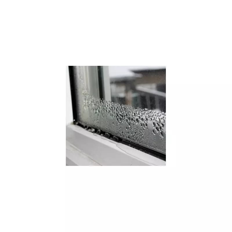 Stop Condensation in Its Tracks: The Simple Morning Habit That Could Save Your Home