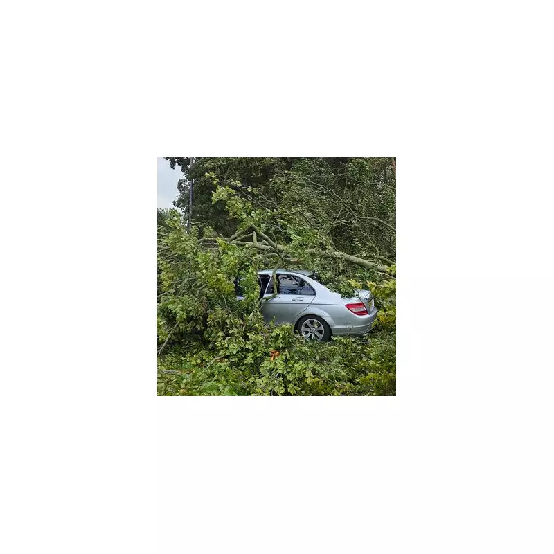 Storm Amy's Fury: 100mph Winds Wreak Havoc Across UK - See the Dramatic Photos