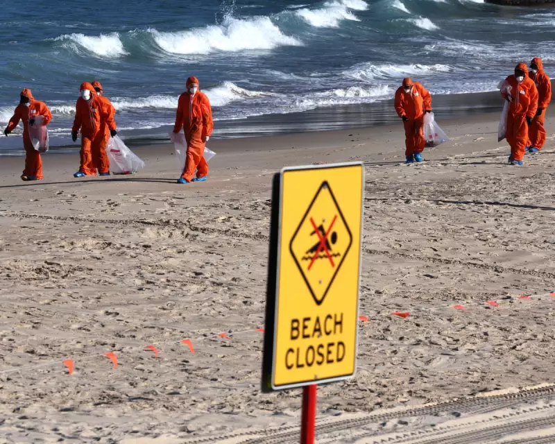 Sydney's Fatberg Crisis: Shocking Source of Beach Contamination Revealed