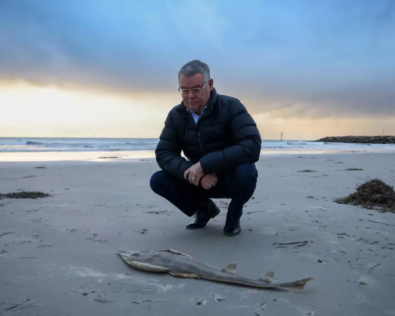 Sydney's Transport Crisis: Major Delays Hit Trains and Roads Amid Power Failure