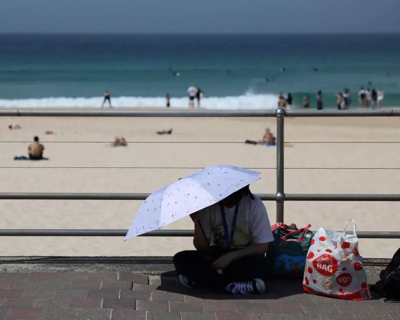 Sydney's Transport Crisis: Major Disruption as Trains Halt Amid Power Failure