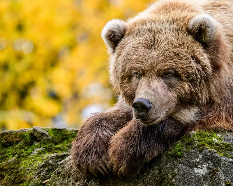 Test Your Wits! The Ultimate Guardian Thursday Quiz Awaits Brainy Challengers