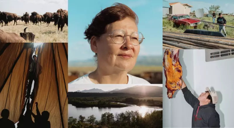 The Bison's Return: How the Blackfeet Nation Is Reclaiming Food Sovereignty in Montana