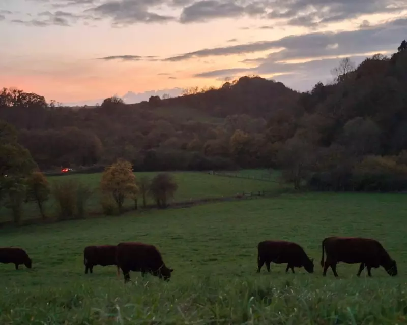 The Clocks Have Changed: Embracing the Winter Darkness in Rural Britain