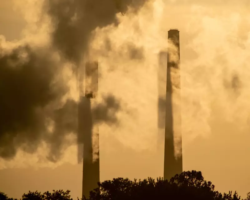 The Hidden Hand: How Corporate Middlemen Obscure True Fossil Fuel Profits in Australia