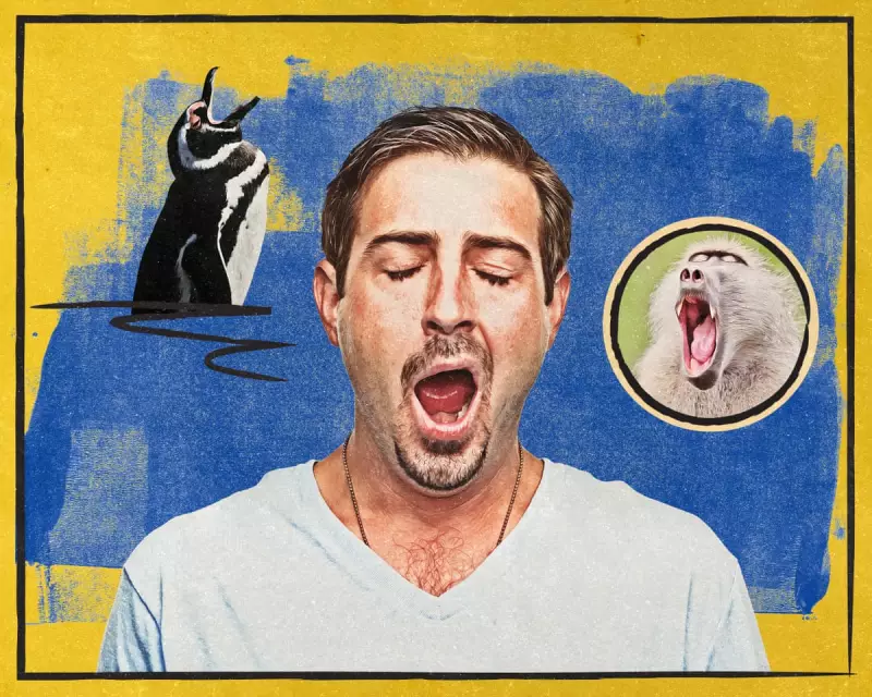The Real Reason We Yawn: Scientists Debunk Common Oxygen Myth