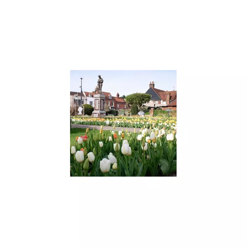 The Seaside Town Where Time Stands Still: Portishead's Remarkable Community Spirit