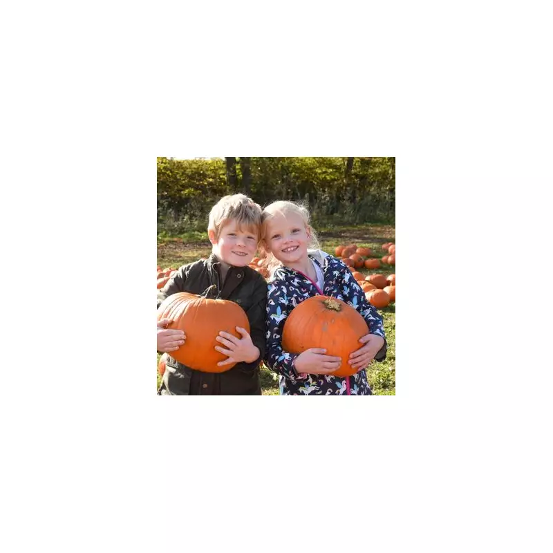 The UK's Ultimate Pumpkin Patch Guide: Top Family-Friendly Farms for Autumn Fun