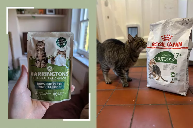 The Ultimate Guide to Premium Cat Food: Expert Reviews & Top Picks 2024